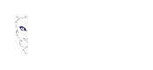 Azlaan Technologies